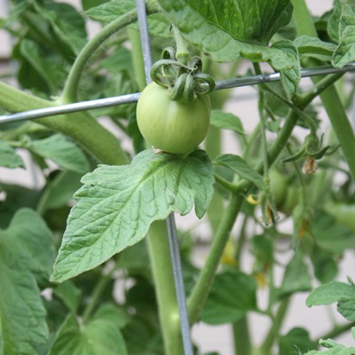 [DPP_00014225[8].jpg]