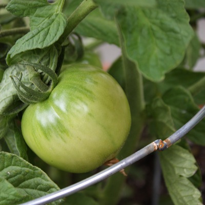 [DPP_00014219[6].jpg]