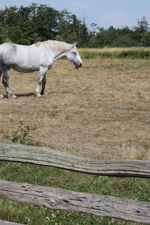 [DPP_00014844[4].jpg]