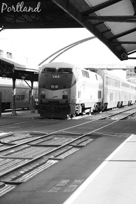 [DPP_00016091[9].jpg]