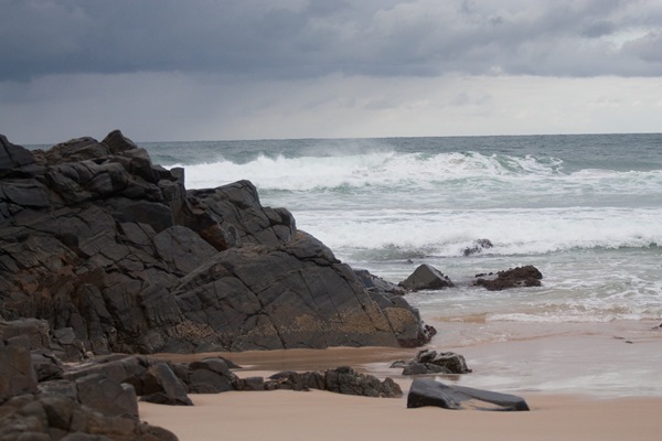 [20100510-IMG_8390[5].jpg]