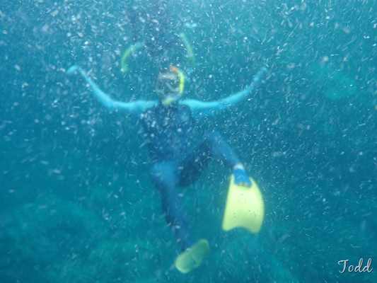 [20100515--F 264[5].jpg]