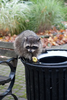 [20101026-IMG_3402[3].jpg]