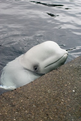 [20101026-IMG_3502[3].jpg]