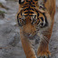 2009-12-26 2009-12-26