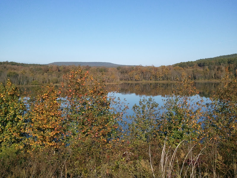 2010-10-20%2009.39.43.jpg