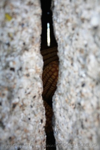 [[85]_Espigueiros[6].jpg]