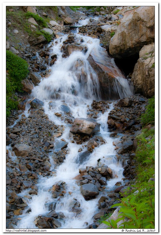 [IMG_4744[2].jpg]