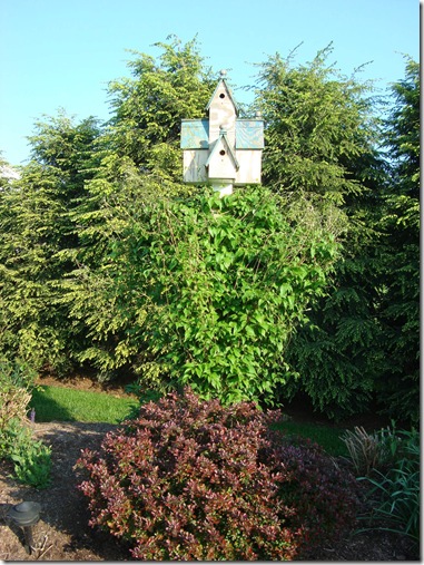 DSC03807
