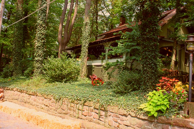 [2010_08_21_0416[1].jpg]