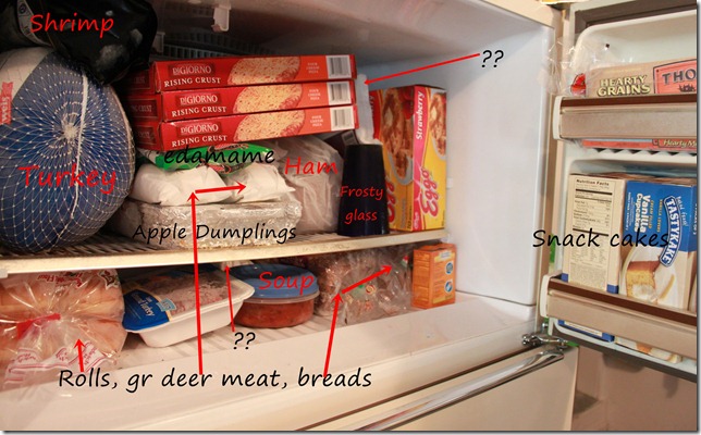 freezer2