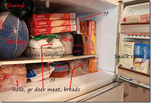 freezer2