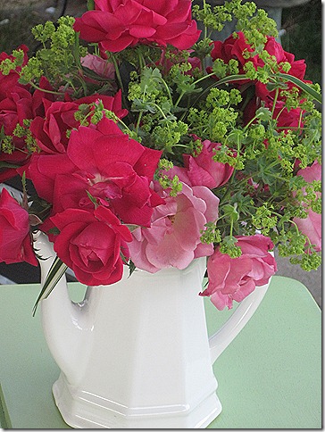 IMG_1929 IMG_1929