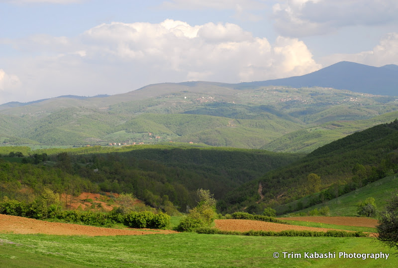 _DSC0088.JPG