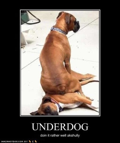 [funny-dog-pictures-underdog-well[3].jpg]