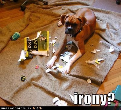 [funny-dog-pictures-dog-ate-your-book-about-dogs[3].jpg]