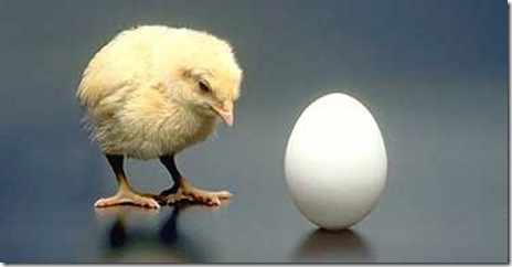 Spass und Spiele: Huhn oder Ei? Die Wissenschaft löst eines der größten  Rätsel der Menschheit