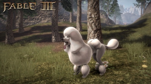 [fable3-poodle-screen-logo[3].jpg]