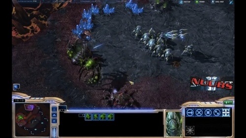 [stargirl-starcraft-top[3].jpg]