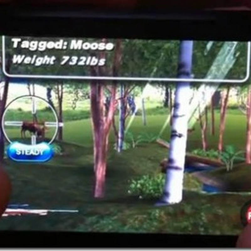 Gaming App: Deer Hunter 3D – Töten Sie wohlschmeckende Tiere auf dem Windows Phone 7