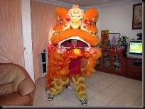 Lion Dance 3