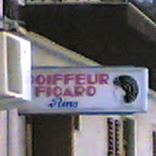 Figaro o ficaro? (R. Arcuri)