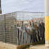 DSCF6110.JPG