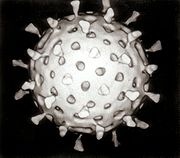 [virus[7].jpg]