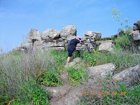 IMGP0511.JPG Photo