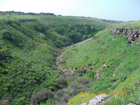 IMGP0512.JPG Photo