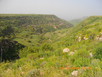 IMGP0514.JPG Photo