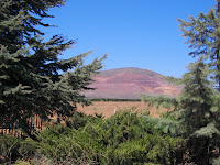 IMGP3172.JPG Photo