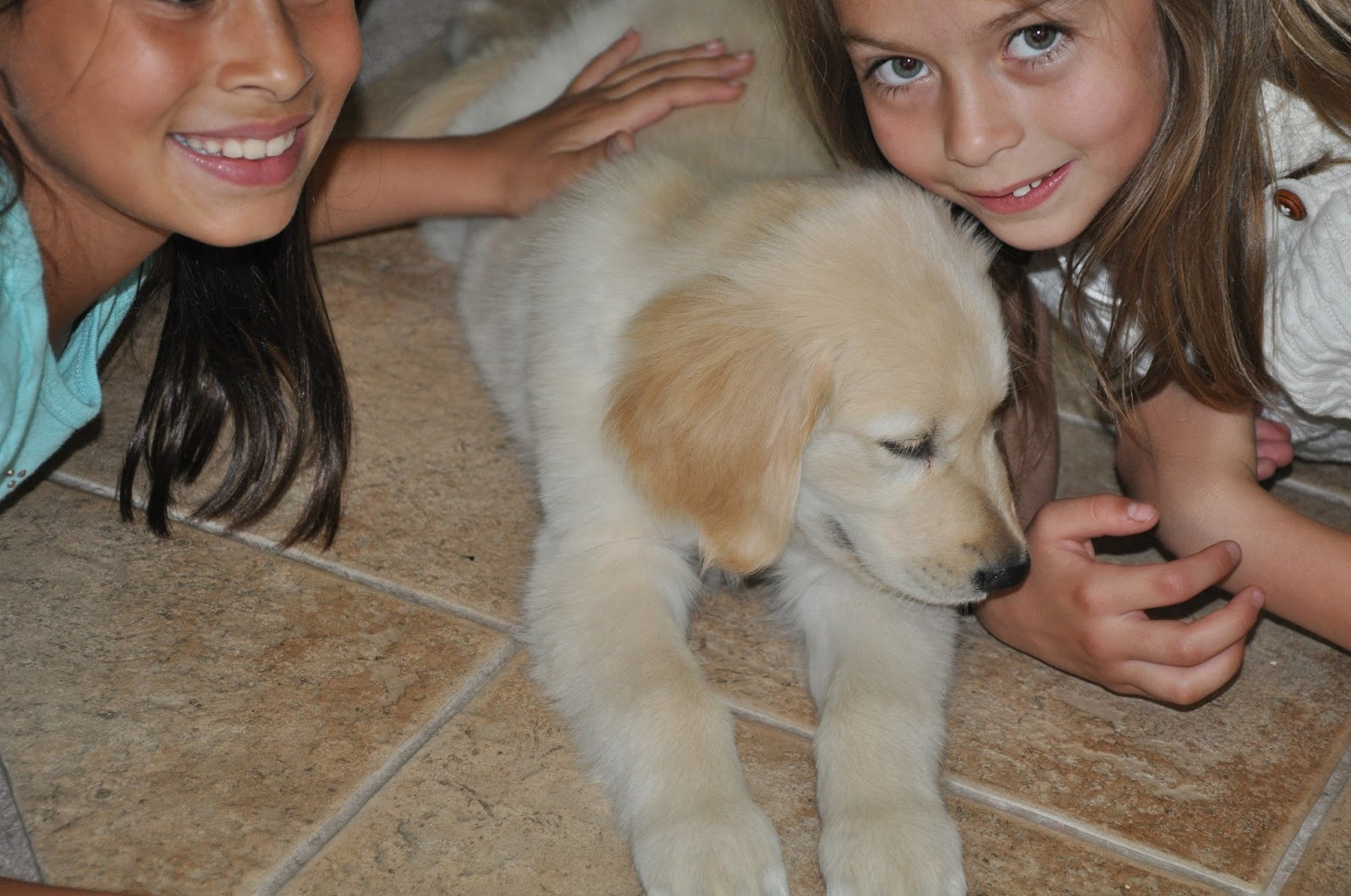 [New Puppy 020[5].jpg]