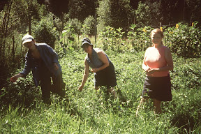 07.jpg