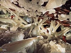 [3714_1600x1200-wallpaper-cb1267712149[5].jpg]
