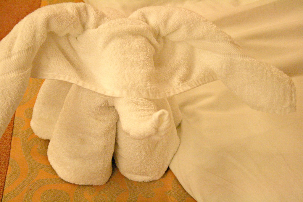 [Towel Elephant[5].jpg]