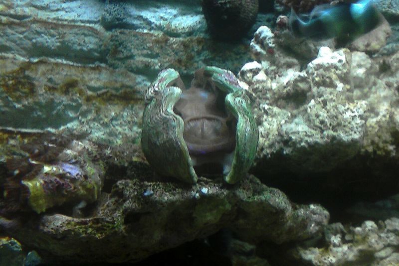 Photo_0002.jpg