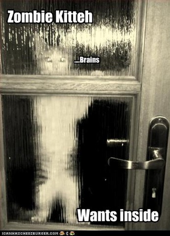 [funny-pictures-cat-is-a-zombie[5].jpg]