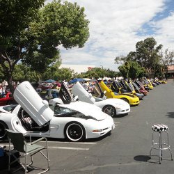 Central California Corvette Club Car Show 2010