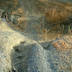The Gecko Run - DSCF4753.JPG