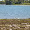Represa