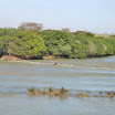 rio_sao_francisco_009.jpg