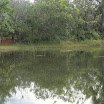 AABB_086.JPG