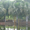 AABB_091.JPG