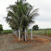 AABB_063.JPG