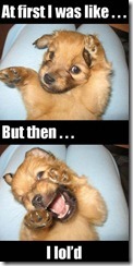 Funny_Pictures_29017 Funny_Pictures_29017