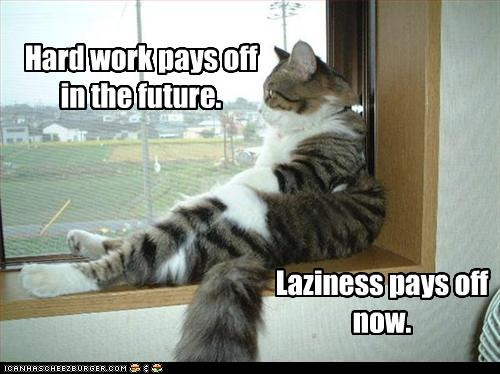 [funny-pictures-cat-is-lazy2.jpg]