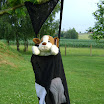 DSC01717.JPG