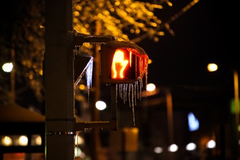 heimer_rehe-9