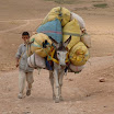 Ane marocain.jpg